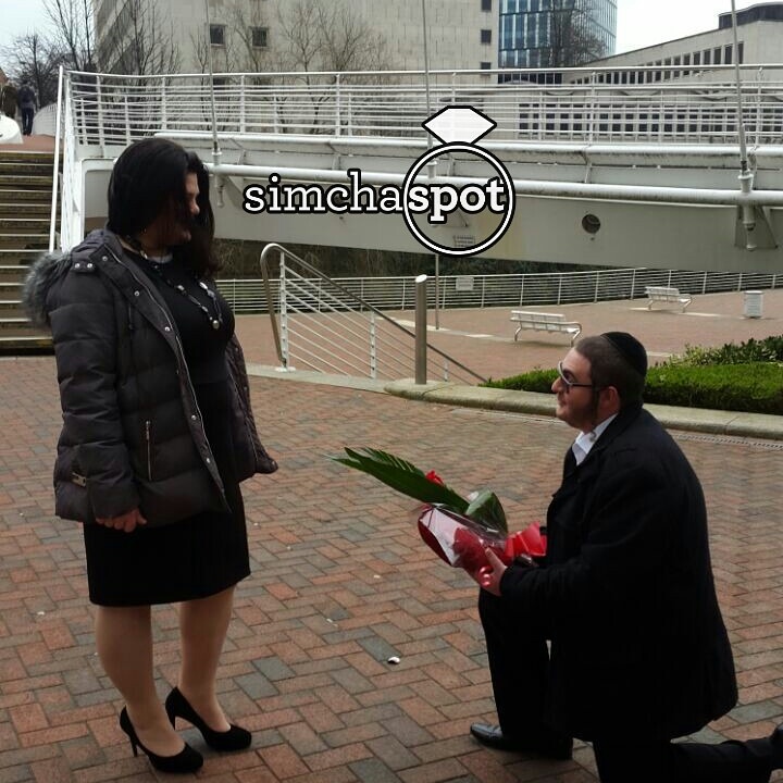 IMG_20150315_095220.jpg image