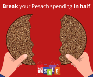 WOS-simchaspot-website-pesach.gif image